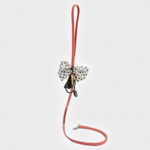 Paris Jet aime Leash1